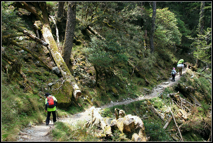 IMG_5968.JPG IMG_5968.JPG