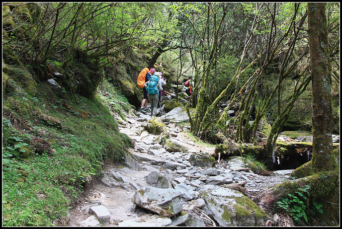 IMG_5970.JPG IMG_5970.JPG