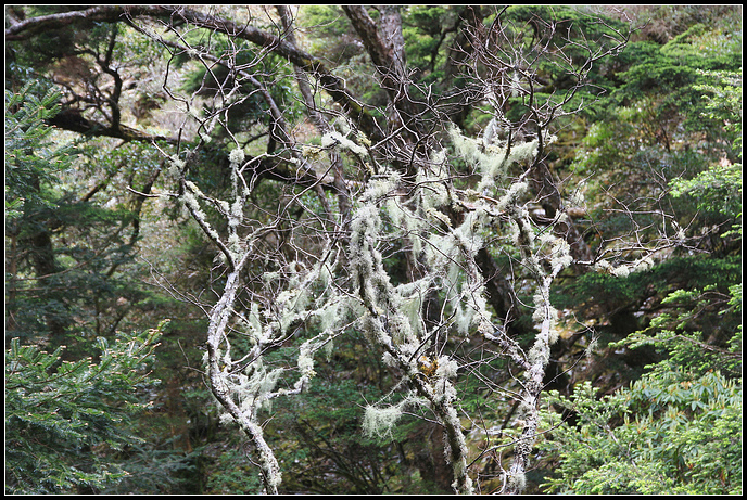 IMG_5972.JPG IMG_5972.JPG