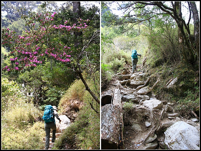 IMG_5973_1.JPG IMG_5973_1.JPG