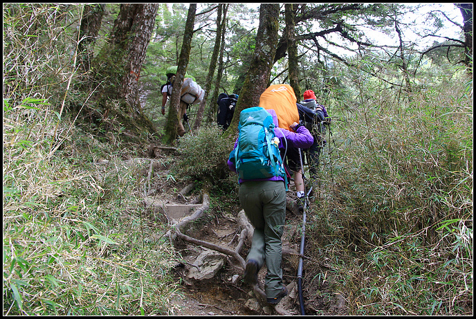 IMG_5994.JPG IMG_5994.JPG