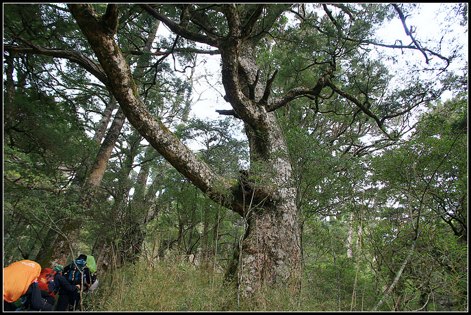 IMG_5996.JPG IMG_5996.JPG