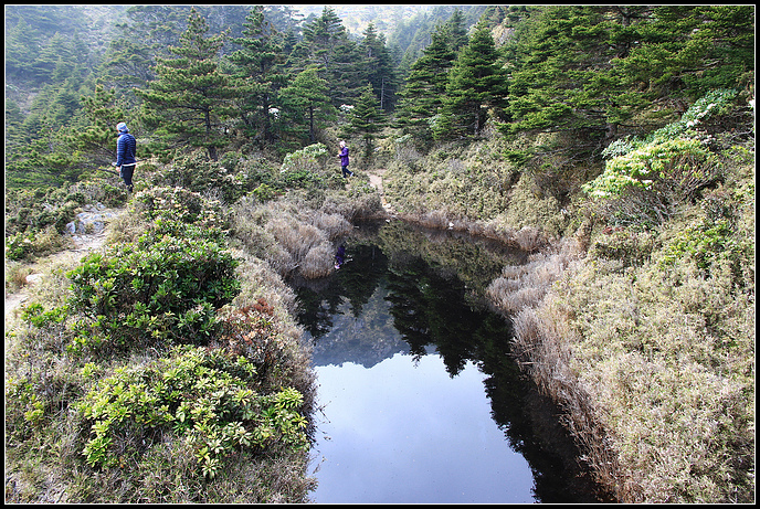 IMG_6016.JPG IMG_6016.JPG