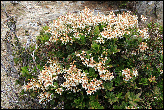 IMG_6023.JPG IMG_6023.JPG