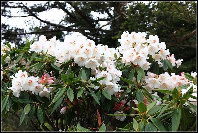 IMG_6027.JPG IMG_6027.JPG