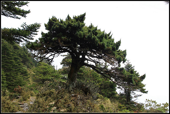 IMG_6030.JPG IMG_6030.JPG