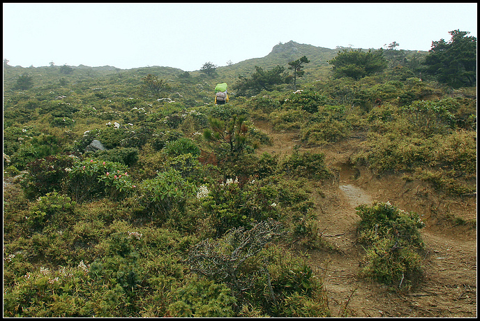 IMG_6034.JPG IMG_6034.JPG