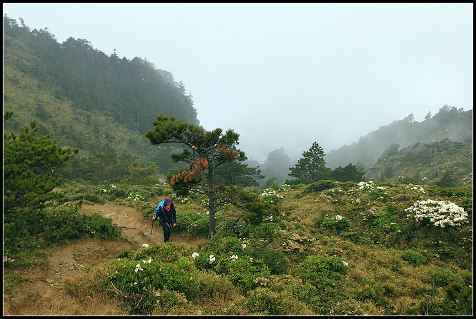 IMG_6036.JPG IMG_6036.JPG