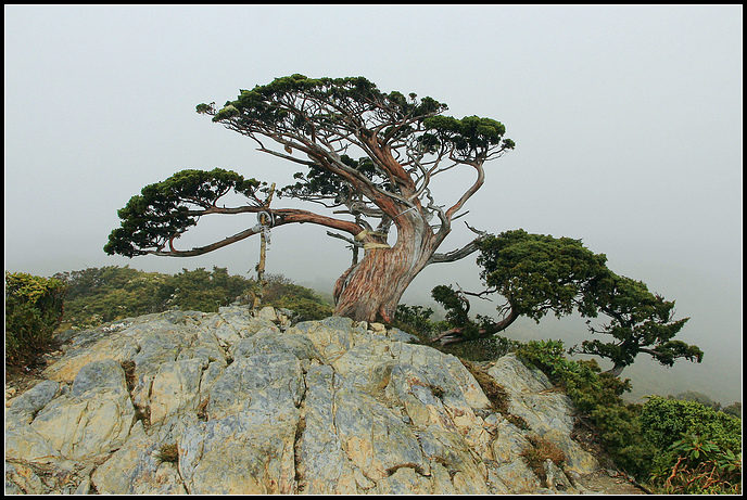 IMG_6038.JPG IMG_6038.JPG