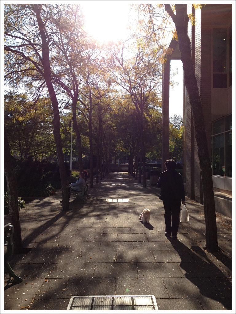 photo-(7).jpg photo-(7).jpg