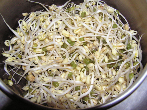 P1010021.JPG P1010021.JPG