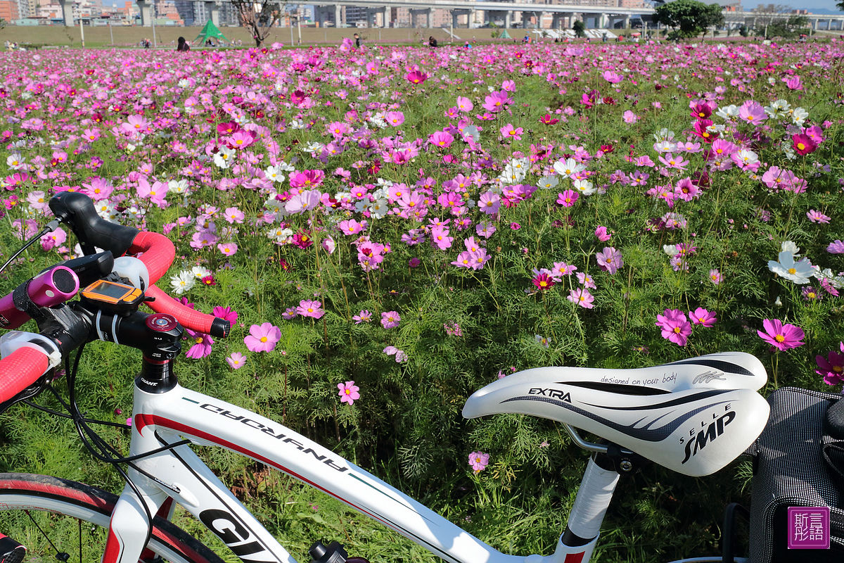 2014-大白任我行 (29)