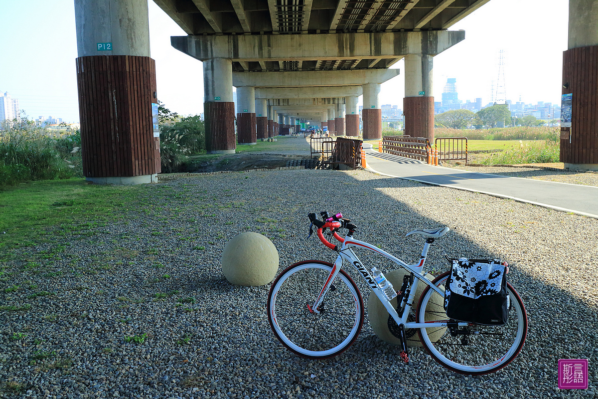 新莊-社子島 (1)