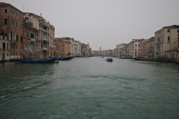 IMG_5563.jpg IMG_5563.jpg