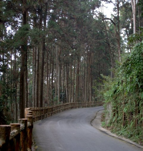 005.jpg 005.jpg