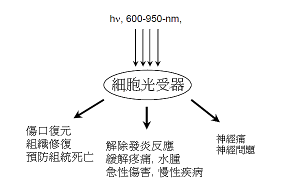 function function
