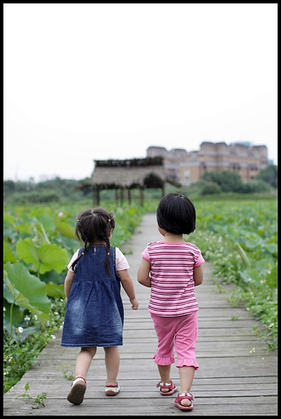 IMG_1829.JPG IMG_1829.JPG