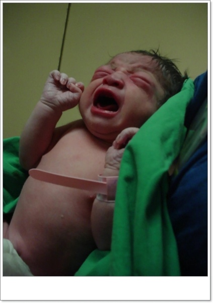 DSC07037.JPG DSC07037.JPG