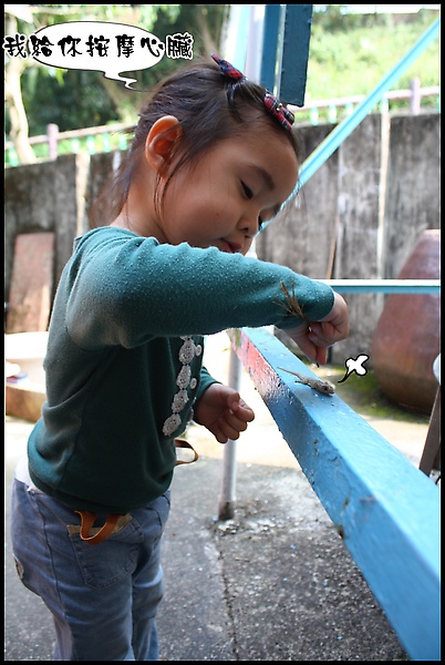 IMG_0025.JPG IMG_0025.JPG