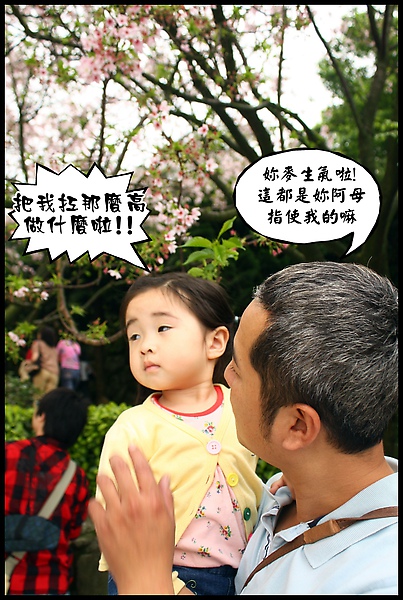 IMG_0445.JPG IMG_0445.JPG