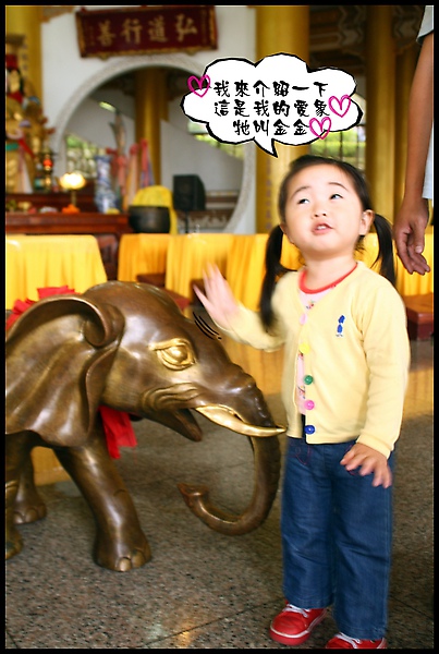 IMG_0449.JPG IMG_0449.JPG