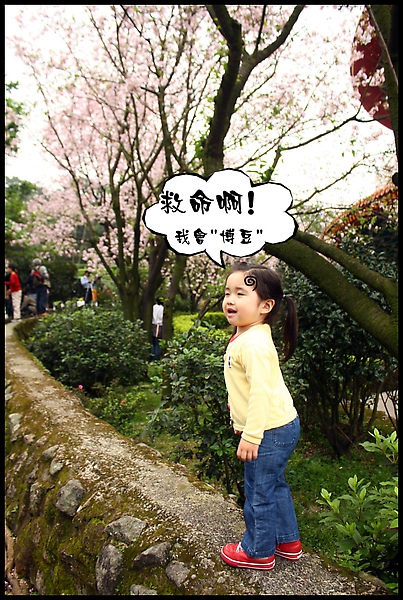 IMG_0515.JPG IMG_0515.JPG