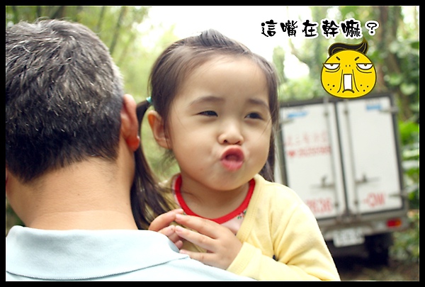 IMG_0550.JPG IMG_0550.JPG