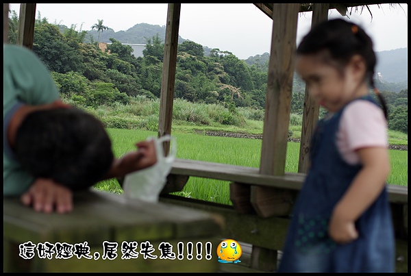 IMG_1815.JPG IMG_1815.JPG