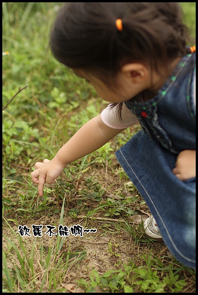 IMG_1888.JPG IMG_1888.JPG