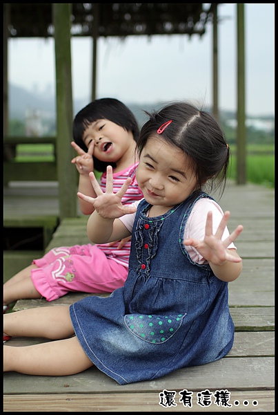 IMG_1800.JPG IMG_1800.JPG