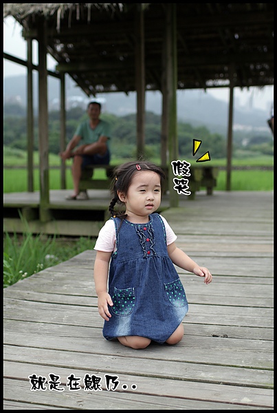 IMG_1791.JPG IMG_1791.JPG