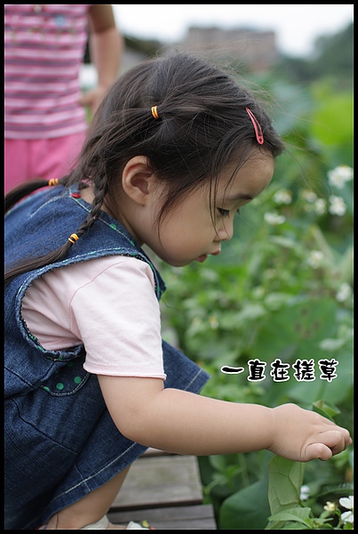 IMG_1837.JPG IMG_1837.JPG