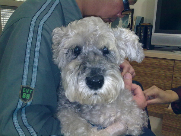 20100103139.jpg