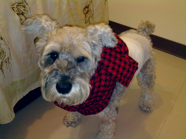 20100103143.jpg