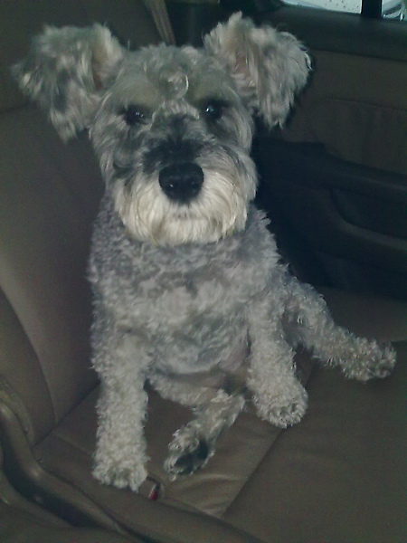 20100213163.jpg