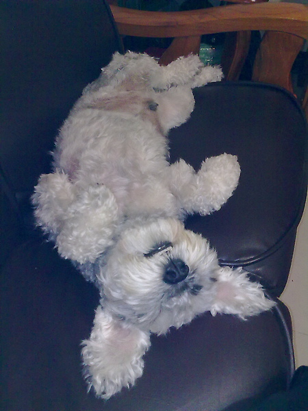 20100213166.jpg