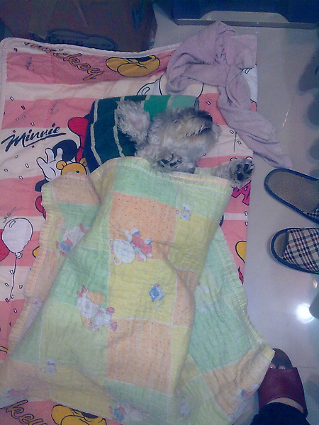 20100218189.jpg