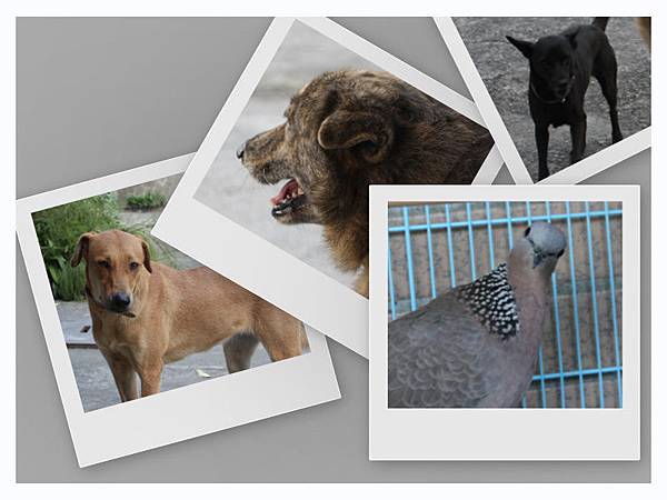 PRJM0083.jpg PRJM0083.jpg