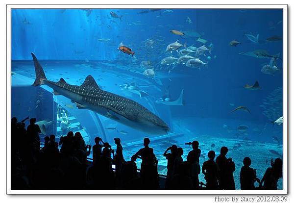 IMG_6540_nEO_IMG IMG_6540_nEO_IMG