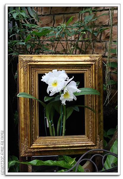 IMG_6650_nEO_IMG IMG_6650_nEO_IMG