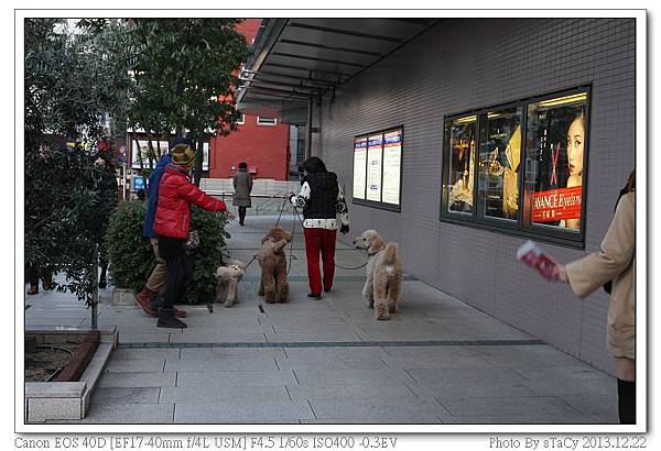 IMG_0018_nEO_IMG IMG_0018_nEO_IMG