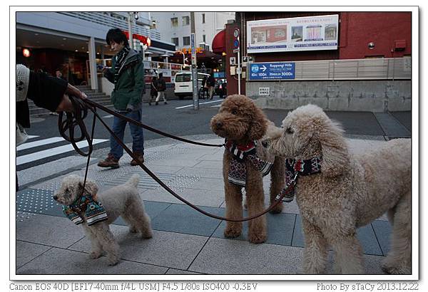 IMG_0019_nEO_IMG IMG_0019_nEO_IMG