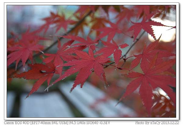 IMG_0039_nEO_IMG IMG_0039_nEO_IMG