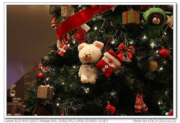 IMG_0156_nEO_IMG IMG_0156_nEO_IMG