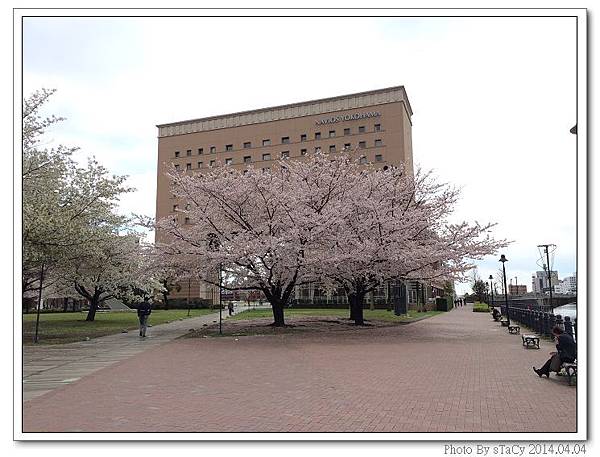 IMG_9871_nEO_IMG IMG_9871_nEO_IMG