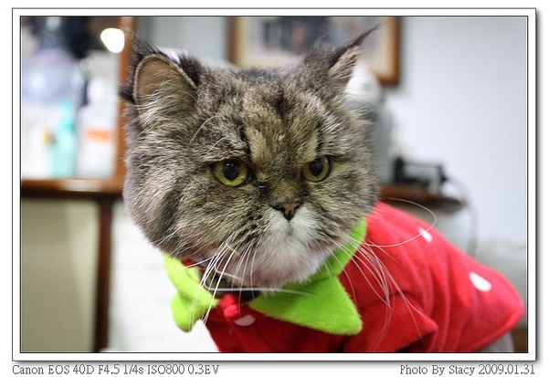 IMG_2959_nEO_IMG.jpg IMG_2959_nEO_IMG.jpg