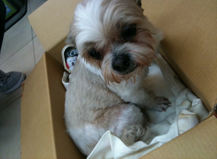 西施.jpg 西施.jpg