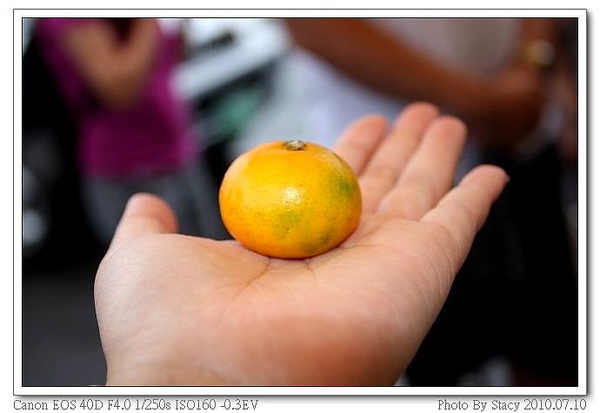 IMG_5735_nEO_IMG_nEO_IMG.jpg IMG_5735_nEO_IMG_nEO_IMG.jpg