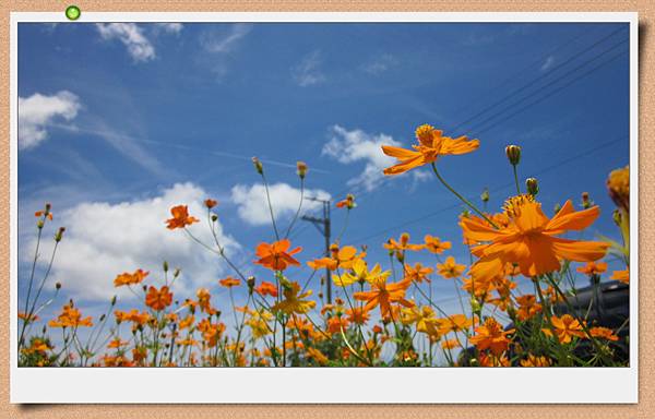 IMG_1927.jpg IMG_1927.jpg