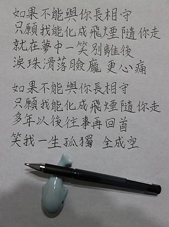 IMG_1204.JPG IMG_1204.JPG